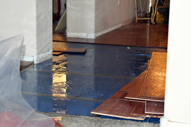 Professional Water Damage Restoration technician working in Silver Lake, FL
